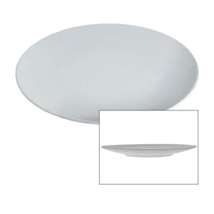 Coupe Plate 31cm