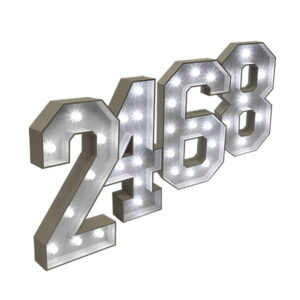 4ft Light Up Number 0-9