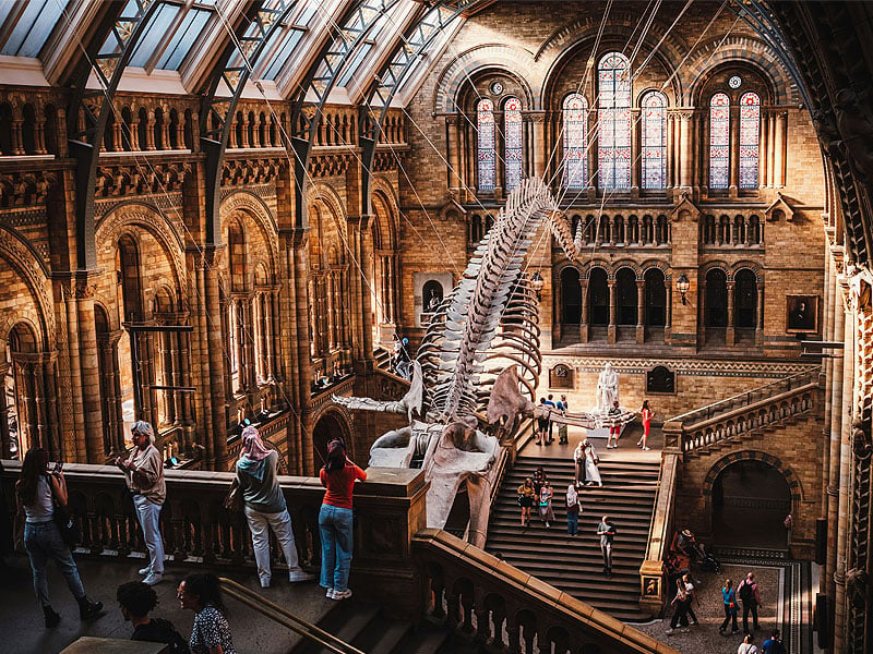 10 unforgettable free things to do in London with kids that won't cost a penny
